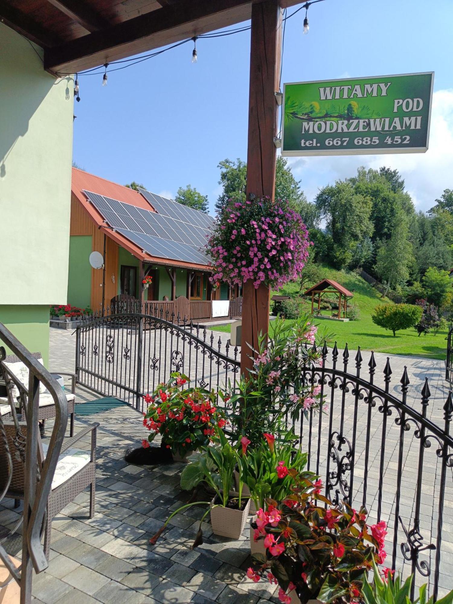 Pod Modrzewiami Apartment Milowka Exterior photo